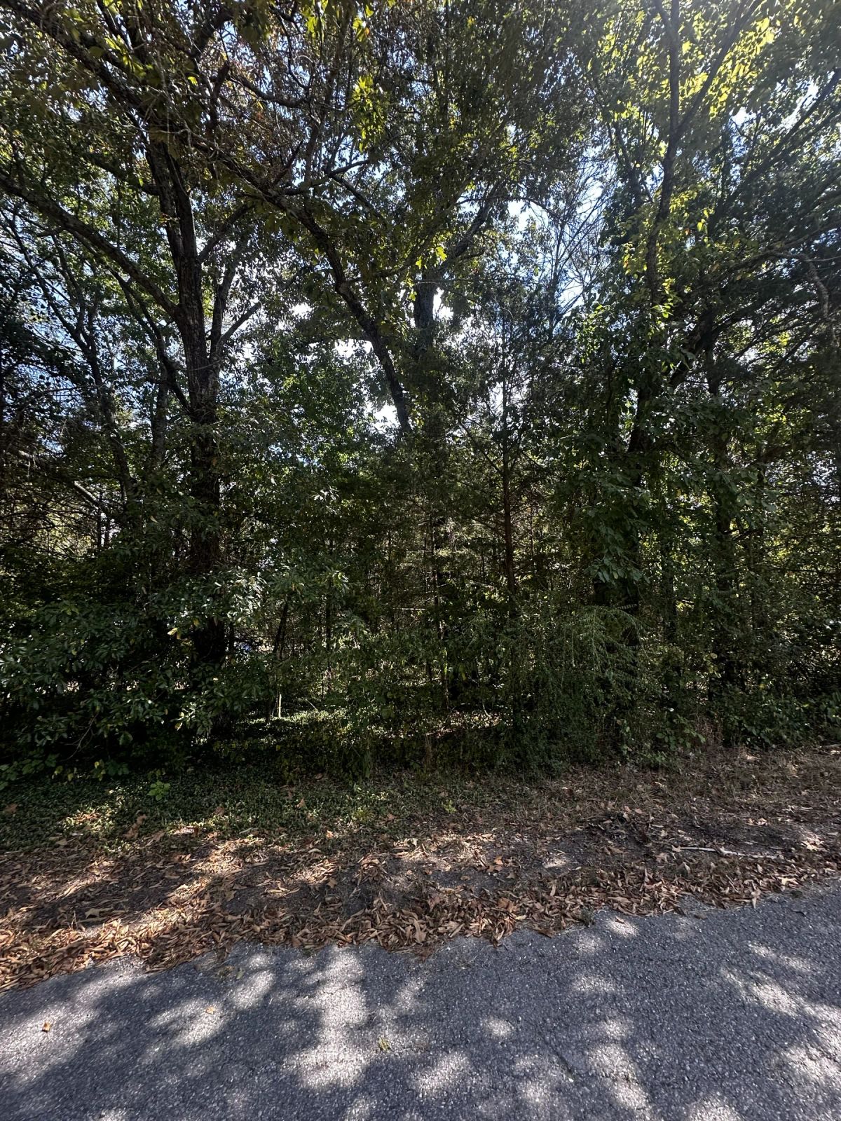Decorative background for Your Mobile home forever spot image 8
