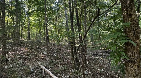 Hillside cul-de-sac - no bottom neighbor in sight in Izard County, AR