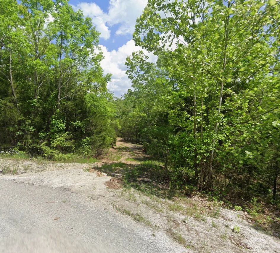 Hillside cul-de-sac - no bottom neighbor in sight in Izard County, AR