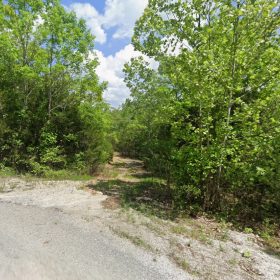 Hillside cul-de-sac - no bottom neighbor in sight in Izard County, AR