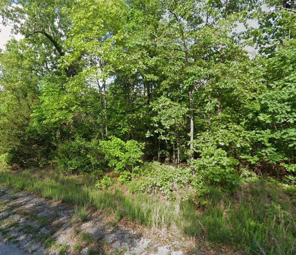 0.58 Acres Near Horseshoe Bend, AR in Izard County, AR