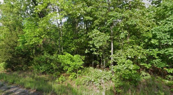 0.58 Acres Near Horseshoe Bend, AR in Izard County, AR