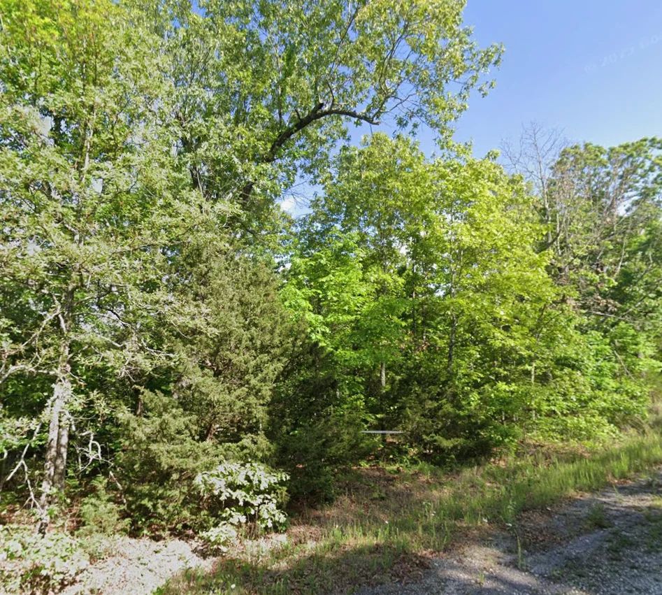 0.58 Acres Near Horseshoe Bend, AR in Izard County, AR