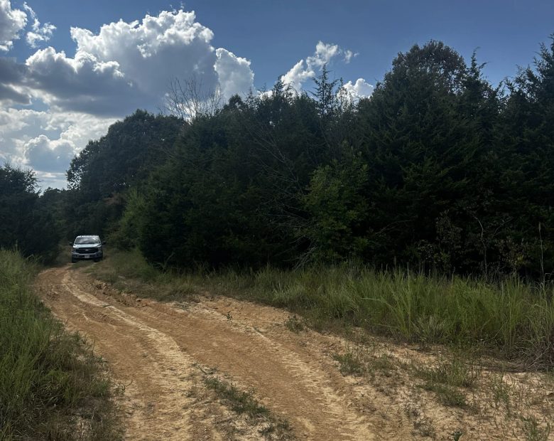 0.58 Acres Near Horseshoe Bend, AR in Izard County, AR