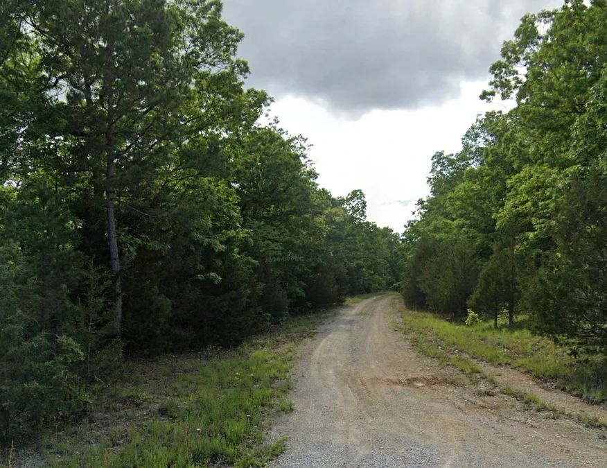 2 adjacent lots - 0.9 acres Imagine fawn on your front step! - Image 2