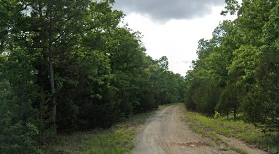2 adjacent lots - 0.9 acres Imagine fawn on your front step! in Izard County, AR