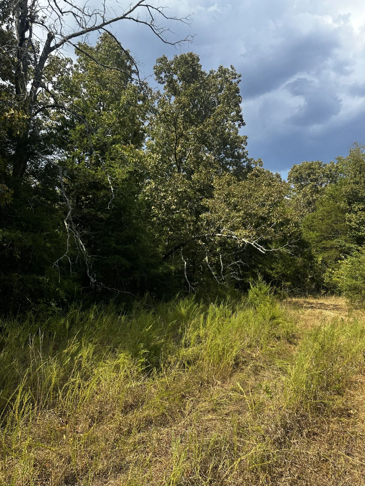 2 adjacent lots - 0.9 acres Imagine fawn on your front step! - Image 4