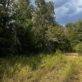 2 adjacent lots - 0.9 acres Imagine fawn on your front step! in Izard County, AR