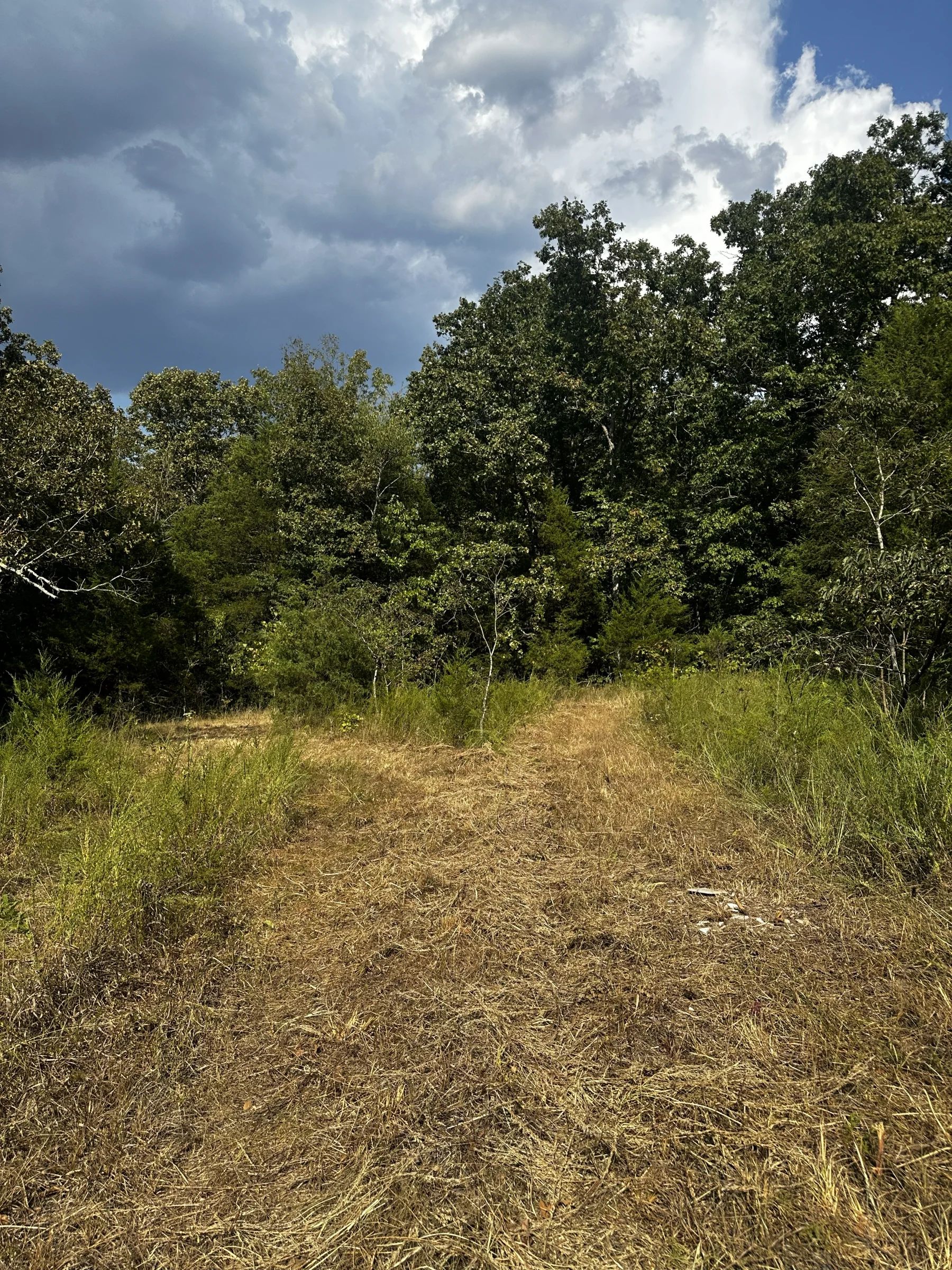 2 adjacent lots - 0.9 acres Imagine fawn on your front step! in Izard County, AR