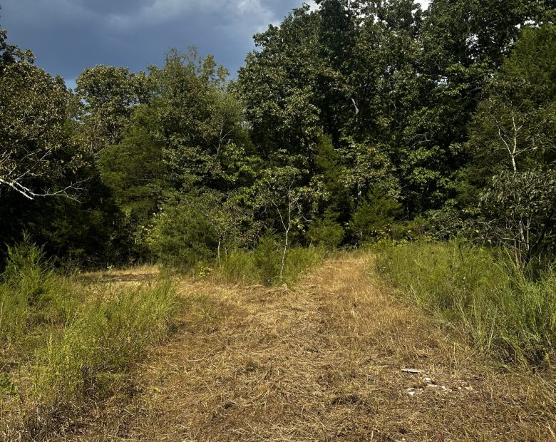 2 adjacent lots - 0.9 acres Imagine fawn on your front step! in Izard County, AR