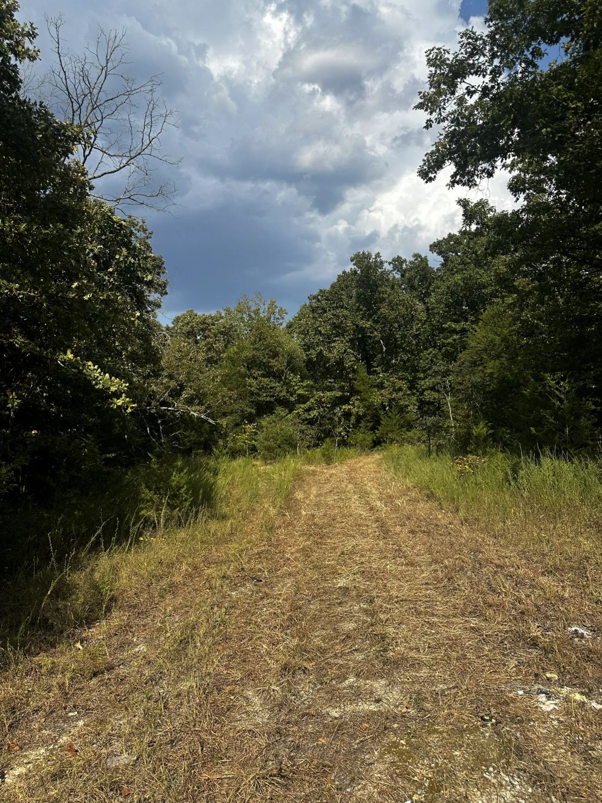 Decorative background for 2 adjacent lots - 0.9 acres Imagine fawn on your front step! image 6