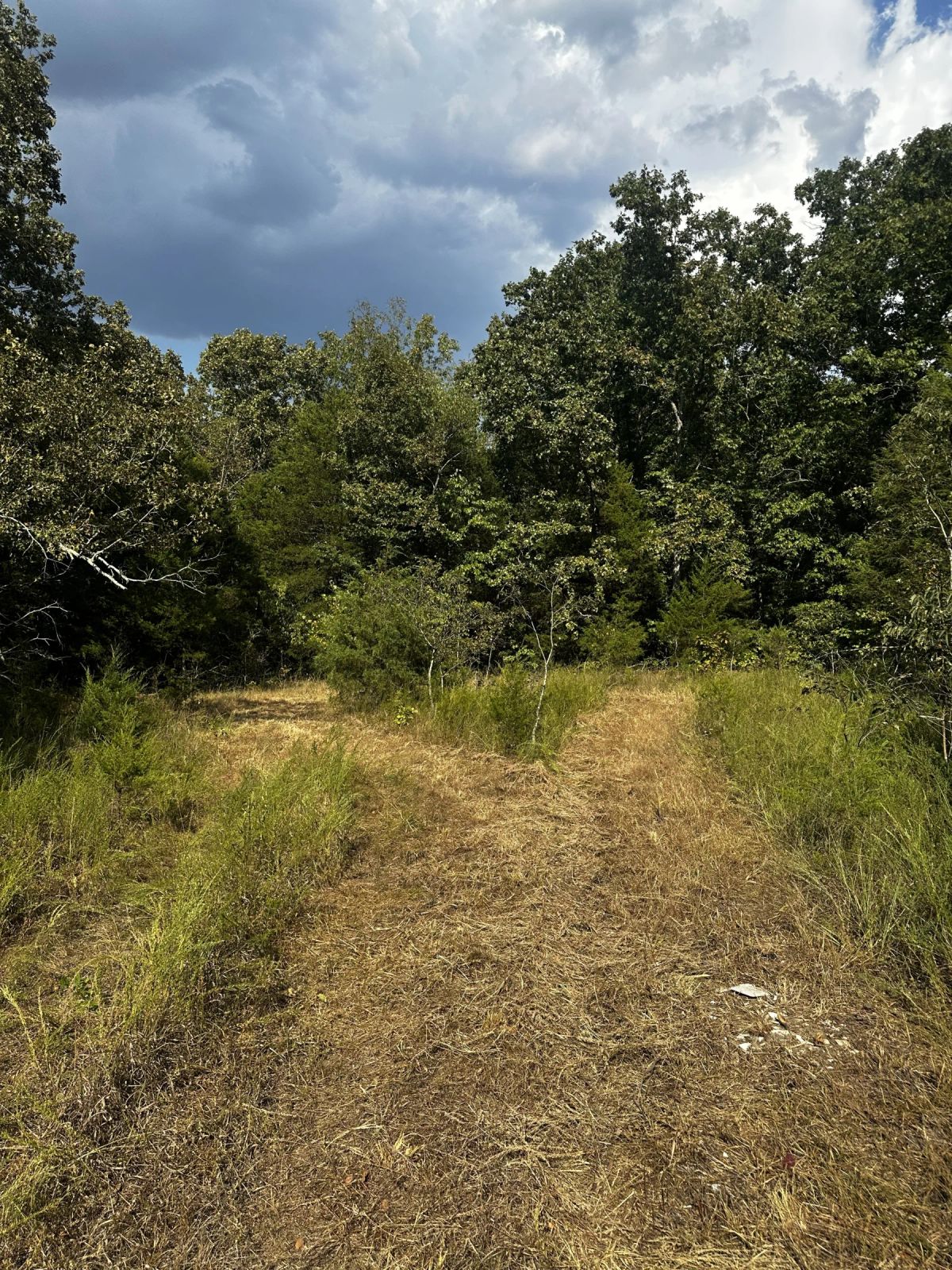 Decorative background for 2 adjacent lots - 0.9 acres Imagine fawn on your front step! image 8