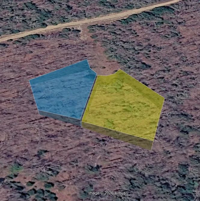 Decorative background for 2 adjacent lots - 0.9 acres Imagine fawn on your front step! image 9