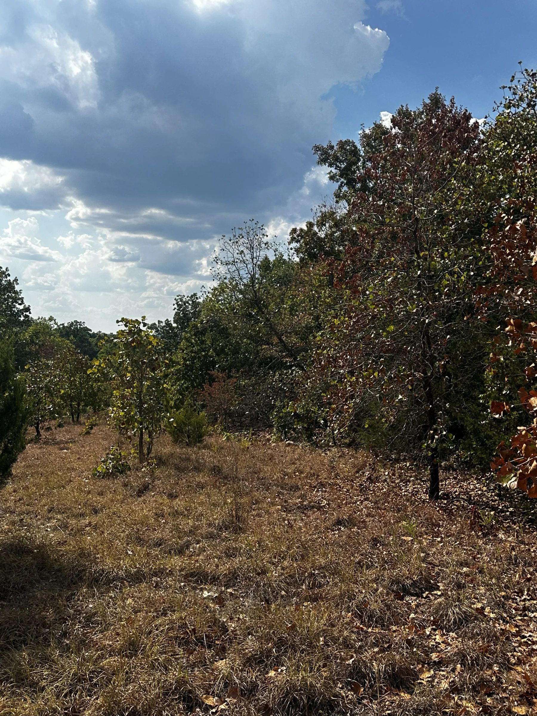 Imagine: No traffic - peace and quiet - no HOA in Izard County, AR