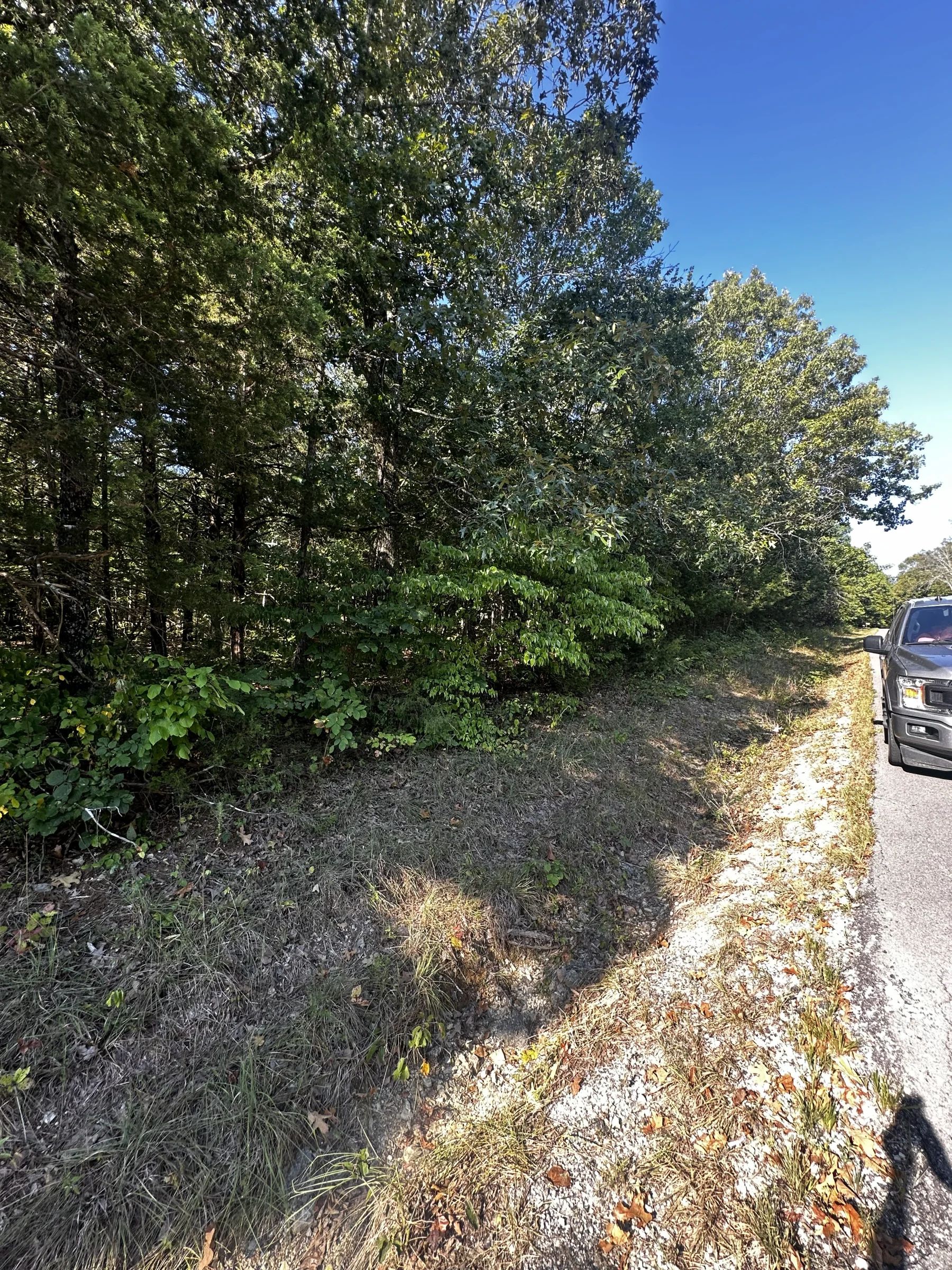 Town Market around the corner - Paved Road in Izard County, AR