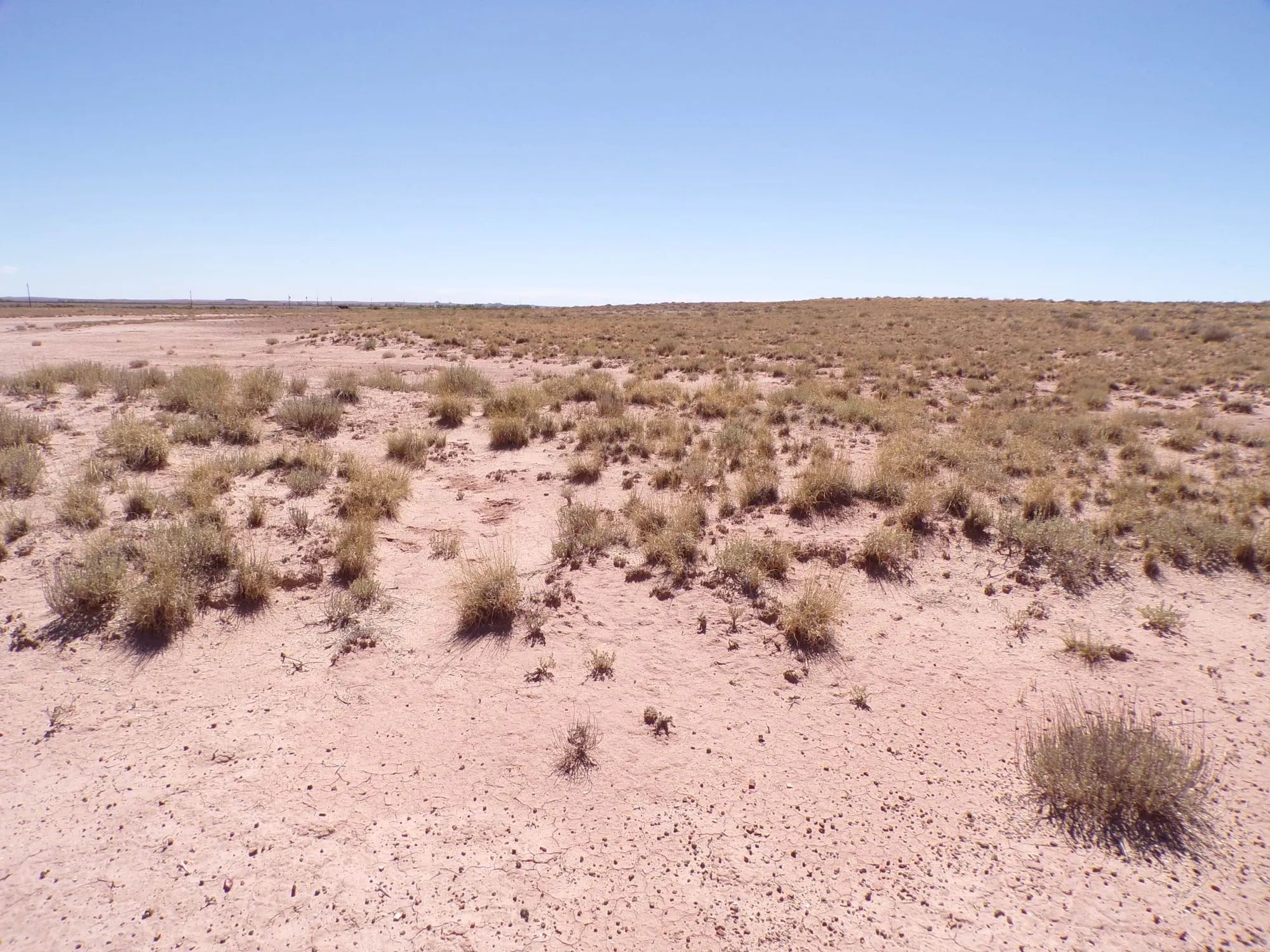 Sun Valley AZ 1.25 Acres, Close to I-40 and Holbrook, Finance $90/mo