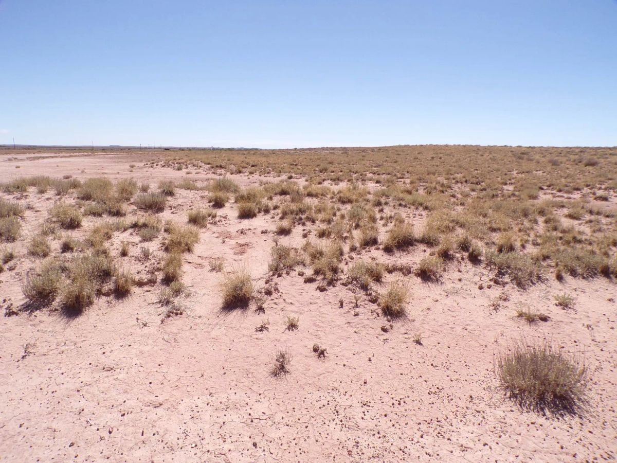Sun Valley AZ 1.25 Acres, Close to I-40 and Holbrook, Finance $90/mo - Main image