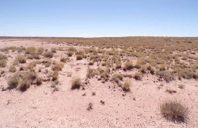 Sun Valley AZ 1.25 Acres, Close to I-40 and Holbrook, Finance $90/mo