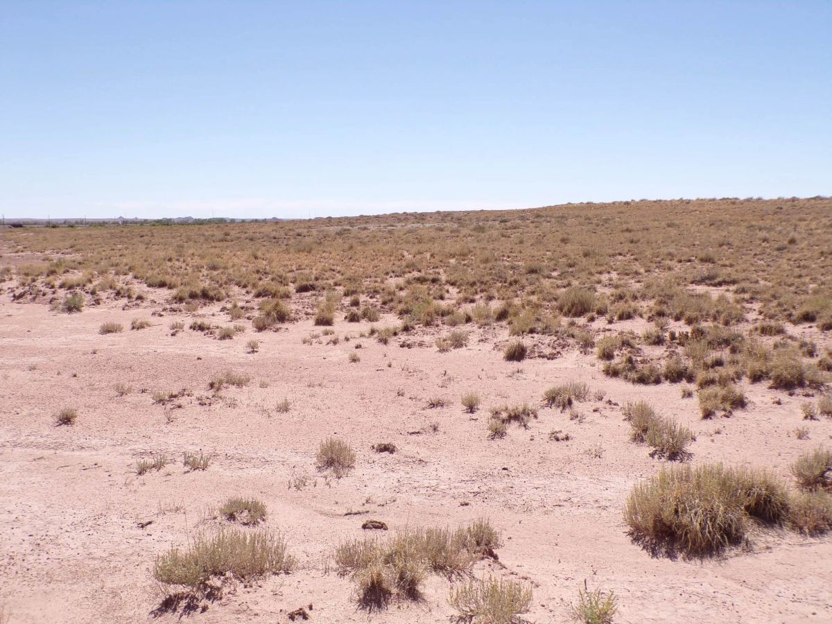 Sun Valley AZ 1.25 Acres, Close to I-40 and Holbrook, Finance $90/mo - Image 3