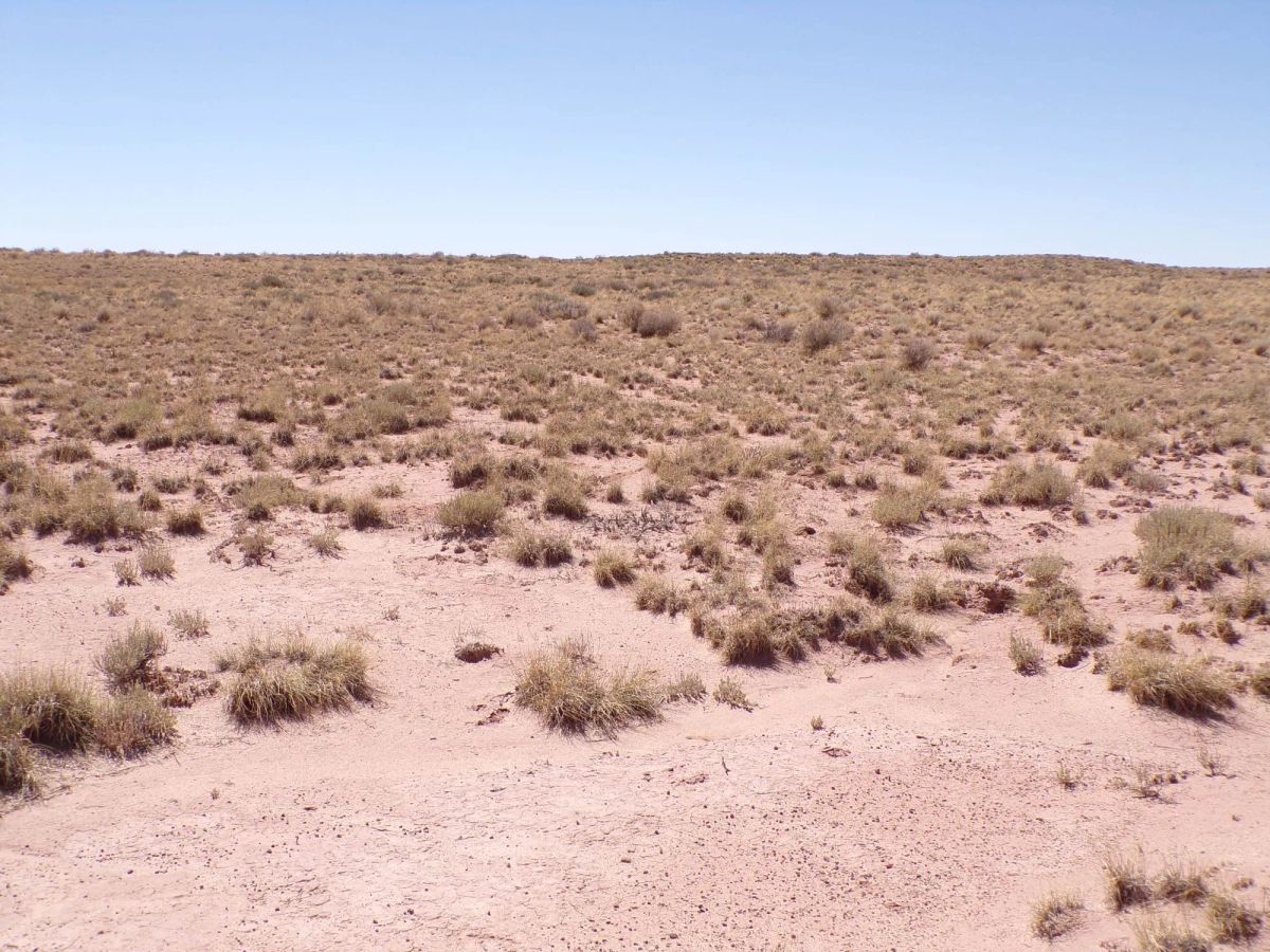 Sun Valley AZ 1.25 Acres, Close to I-40 and Holbrook, Finance $90/mo - Image 4