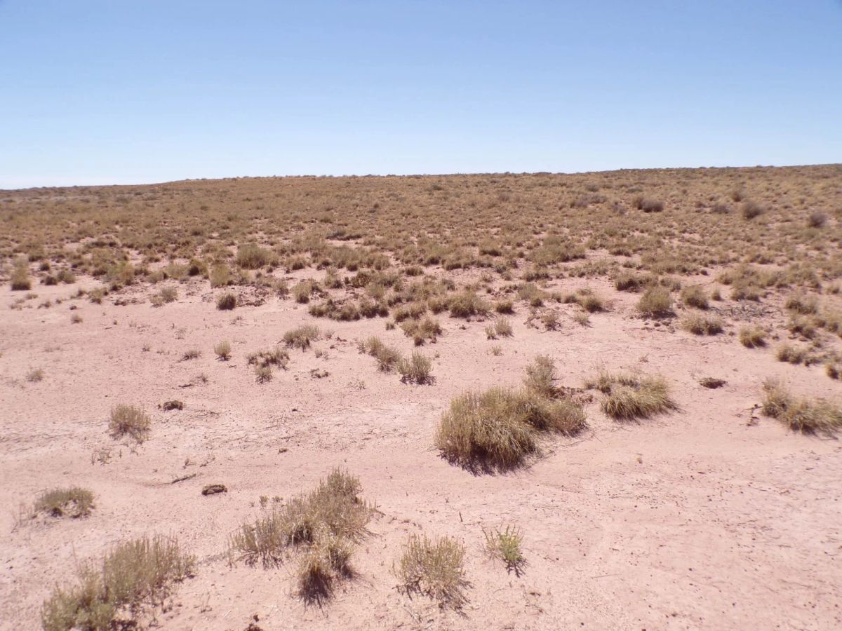 Decorative background for Sun Valley AZ 1.25 Acres, Close to I-40 and Holbrook, Finance $90/mo image 9