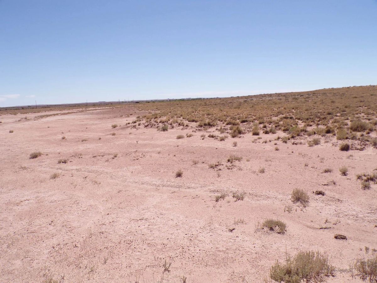 Decorative background for Sun Valley AZ 1.25 Acres, Close to I-40 and Holbrook, Finance $90/mo image 10