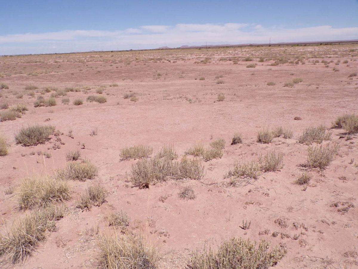Decorative background for Sun Valley AZ 1.25 Acres, Close to I-40 and Holbrook, Finance $90/mo image 12