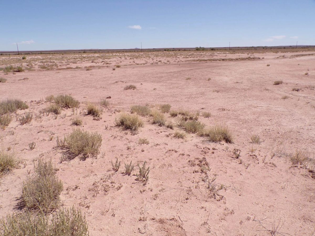 Decorative background for Sun Valley AZ 1.25 Acres, Close to I-40 and Holbrook, Finance $90/mo image 13