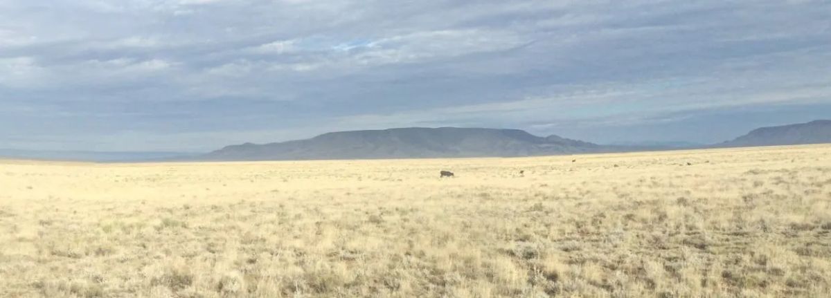 Decorative background for 5 Acres in Rio Grande Ranches, Costilla County, Colorado, near the Rio Grande image 10