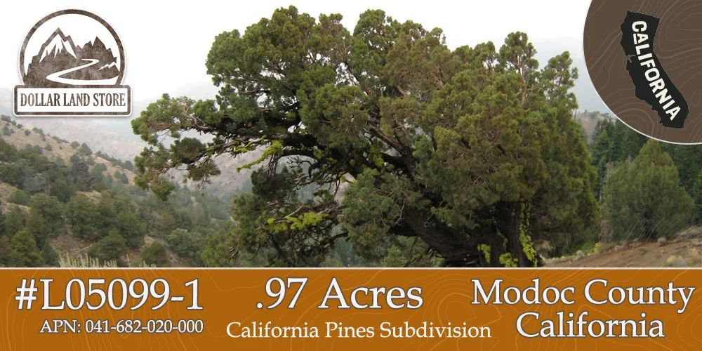 0.97 Acre Parcel in California Pines Modoc County, California