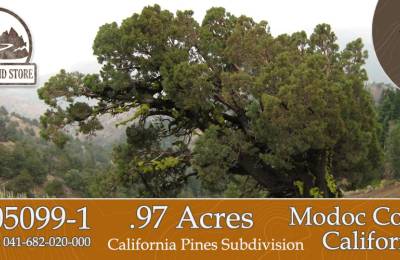 0.97 Acre Parcel in California Pines Modoc County, California