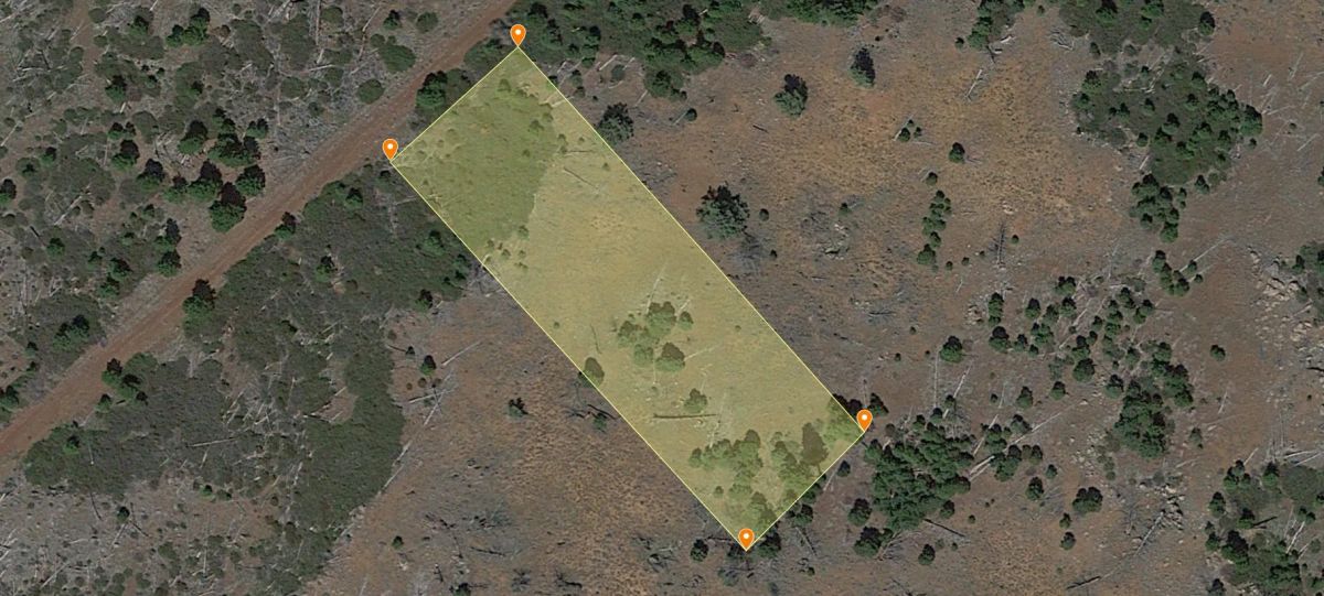 0.97 Acre Parcel in California Pines Modoc County, California - Image 3