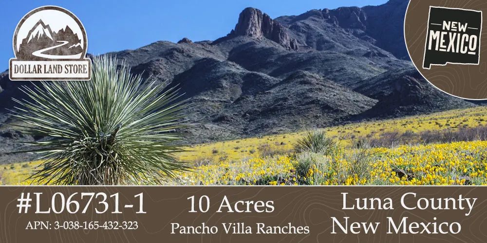 10 Acres in Luna County, NM