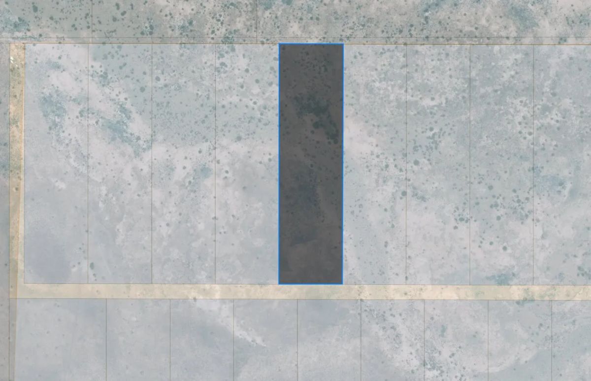 Decorative background for 10 Acres in Luna County, NM image 6