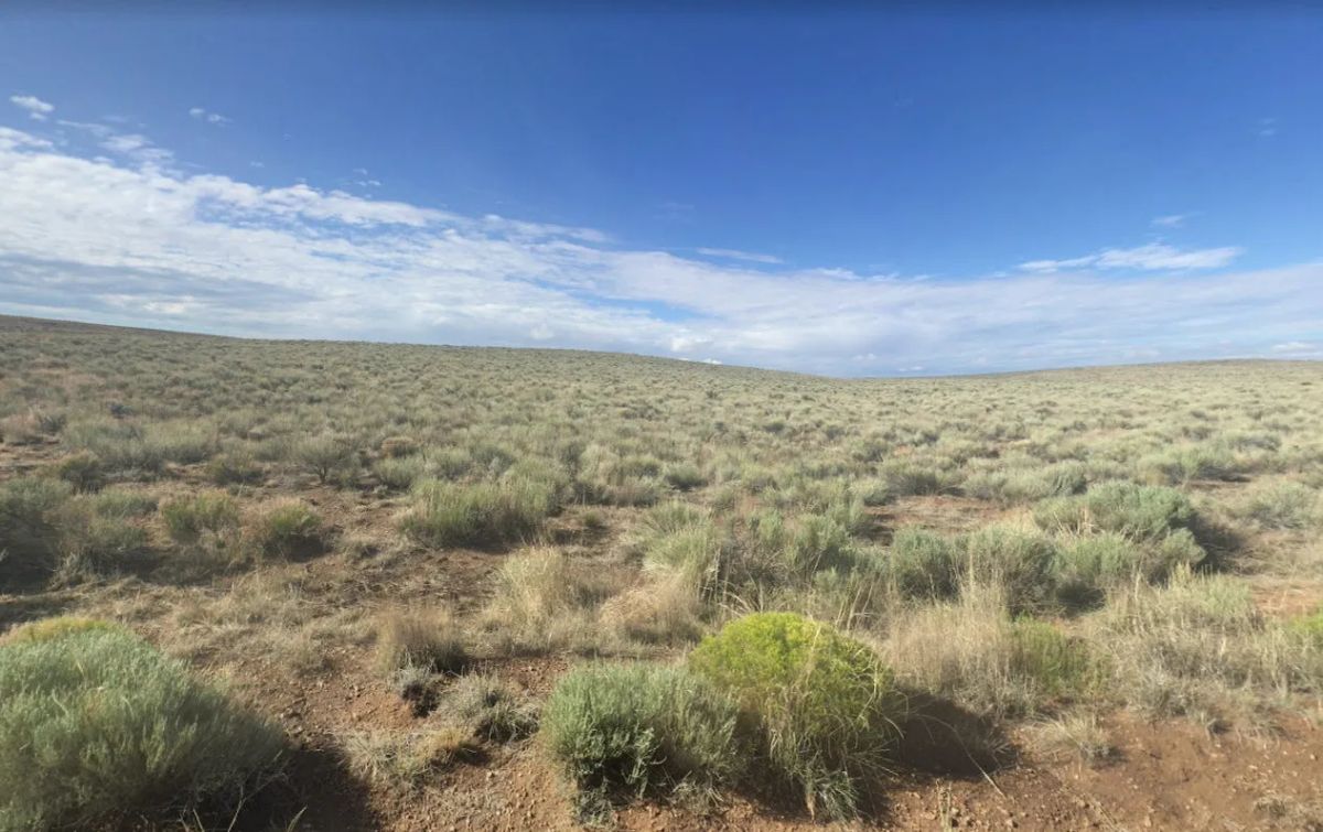 Decorative background for 5 Acres in Rio Grande Ranches Costilla, Colorado image 11