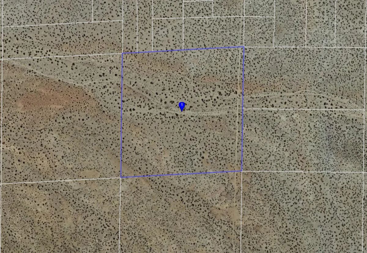 Decorative background for 40 Acres in Kern County, CA image 5