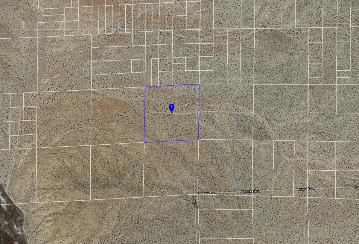 Decorative background for 40 Acres in Kern County, CA image 6