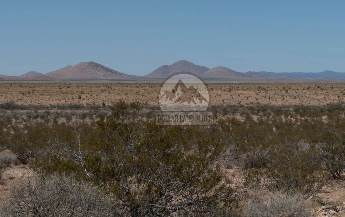 Decorative background for 10 Acres in Luna County, NM image 15