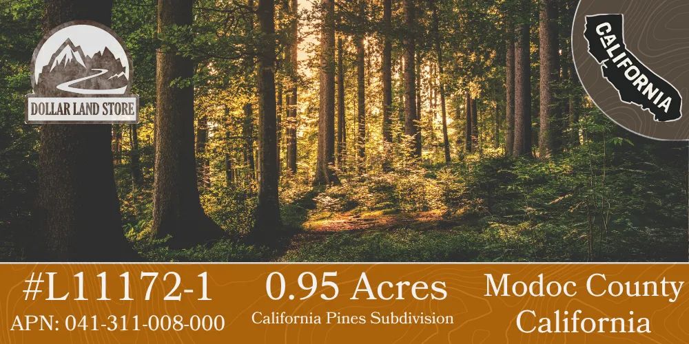 0.95 Acres in California Pines, Modoc County, CA