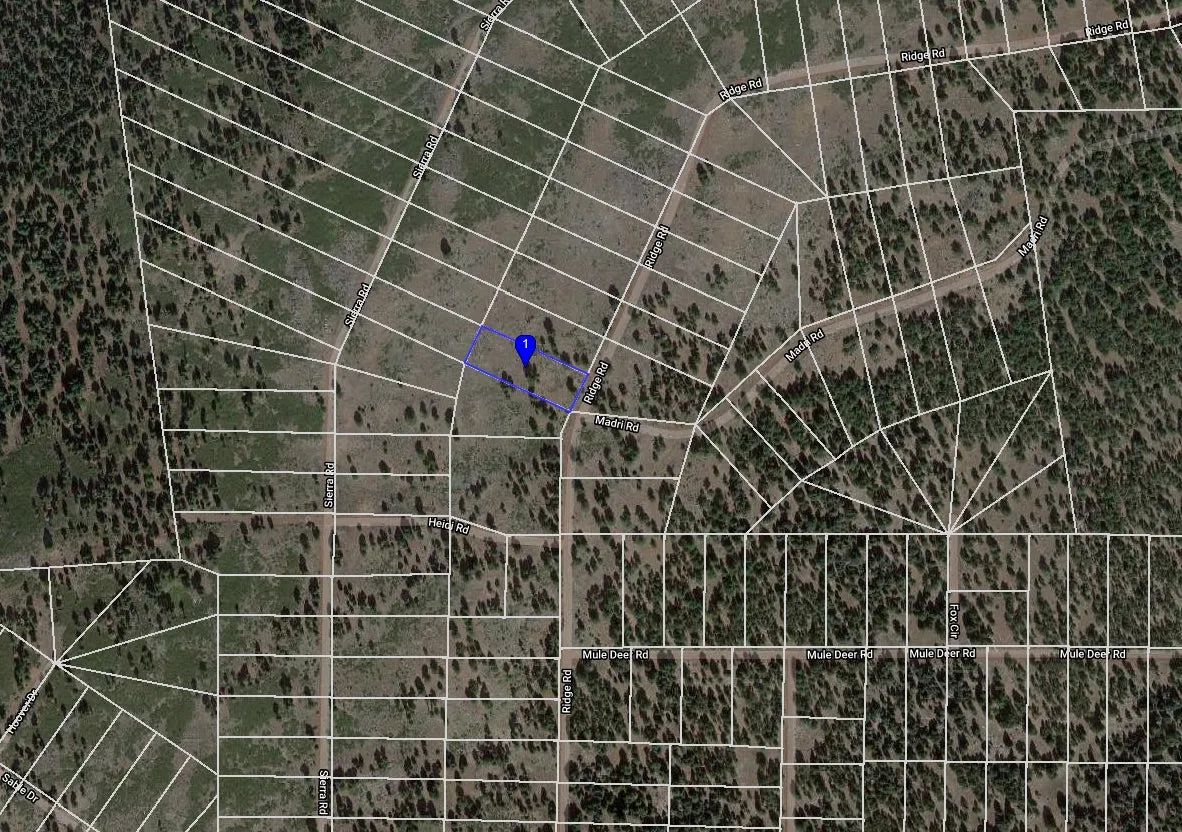 Decorative background for 0.95 Acres in California Pines, Modoc County, CA image 5