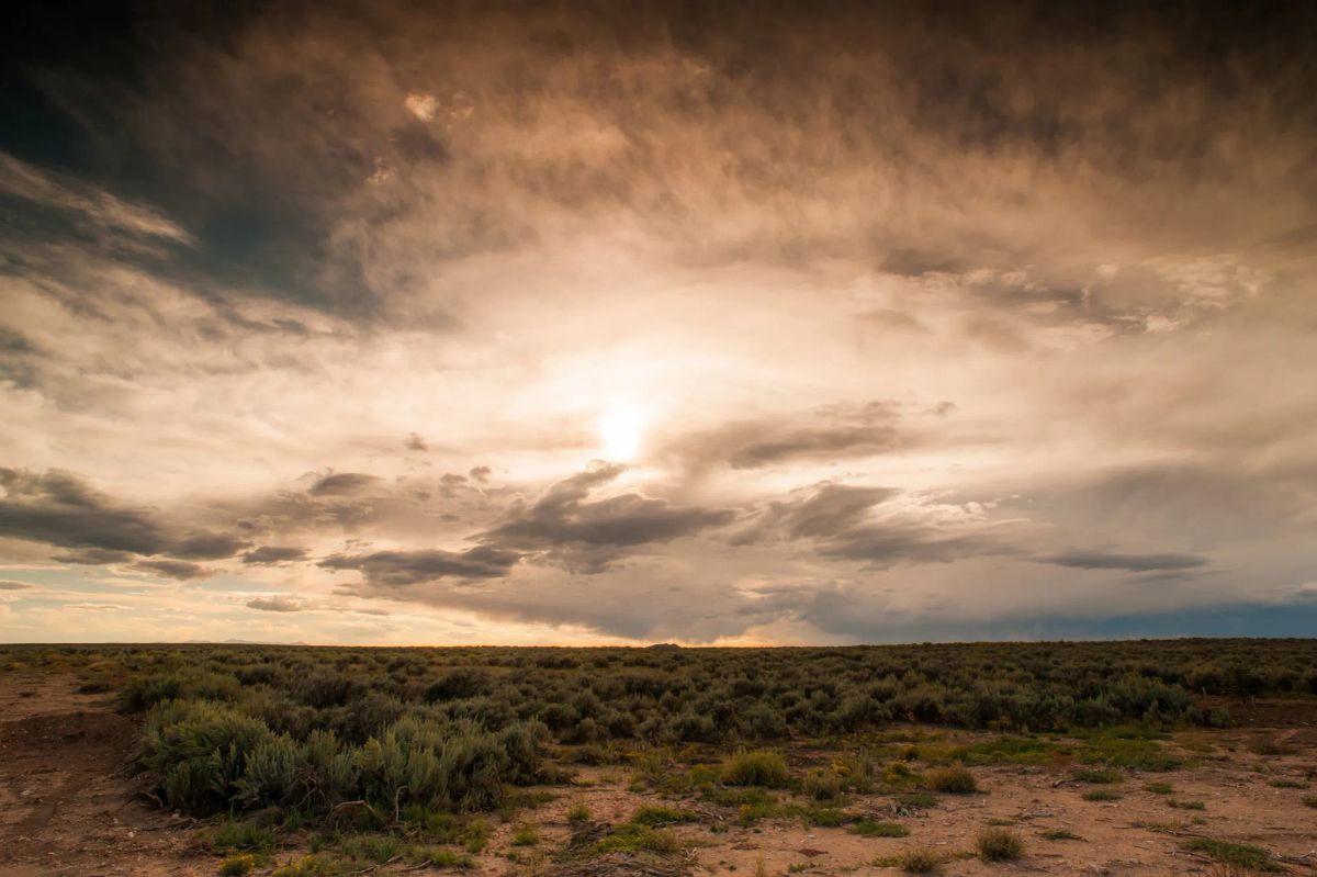 10 Acres in Luna County, NM - Main image