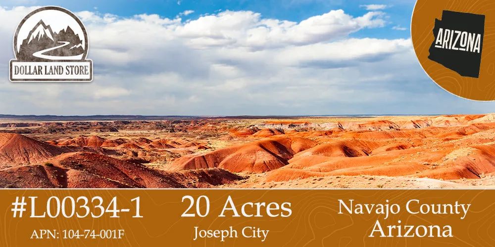 20 Acres in Navajo County, AZ - Main image