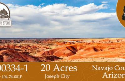 20 Acres in Navajo County, AZ