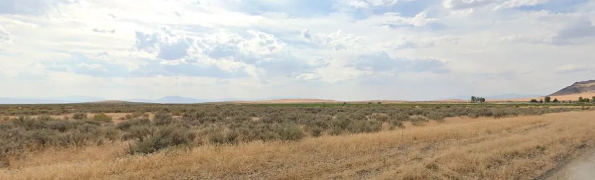 Decorative background for 39.14 Acres in Humboldt County, NV image 10