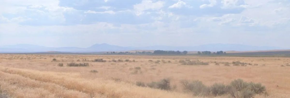 Decorative background for 39.53 Acres in Humboldt County, NV image 11