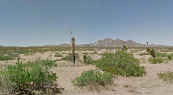 10 Acres in Luna County, NM in Luna County, NM