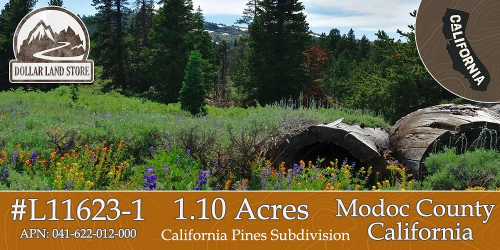 1.10 Acres in California Pines, Modoc CA - Main image