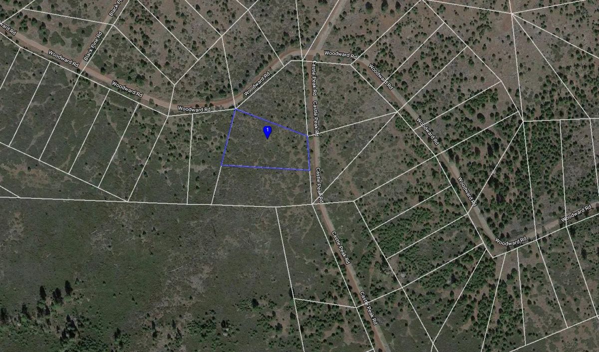 Decorative background for 1.10 Acres in California Pines, Modoc CA image 5