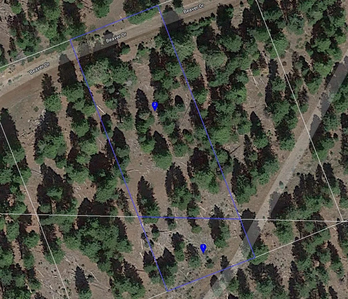 1.15 Acre Lot in California Pines, Modoc CA in Modoc County, CA