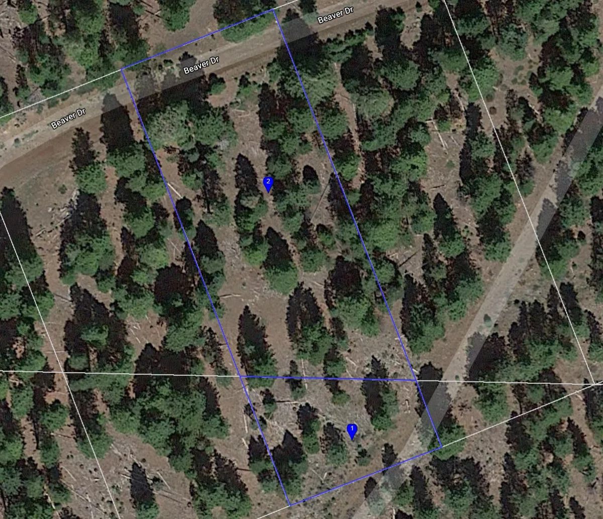 1.15 Acre Lot in California Pines, Modoc CA - Image 4